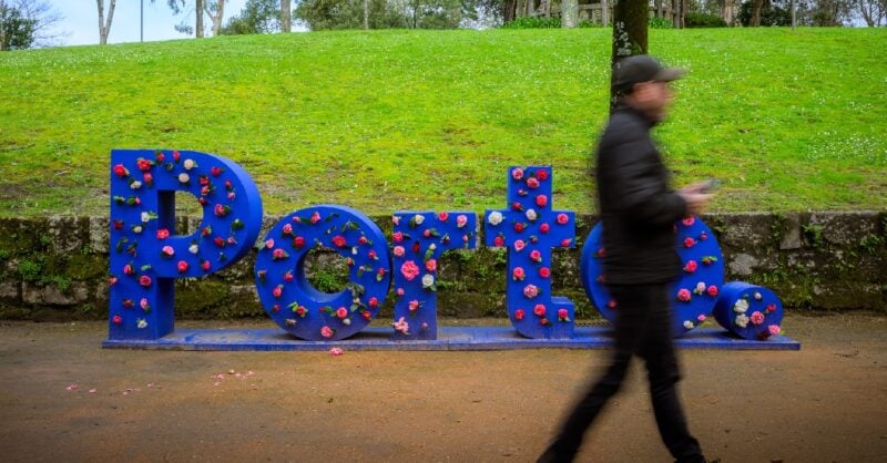 Parque de S. Roque acolhe 29ª Exposição de Camélias do Porto