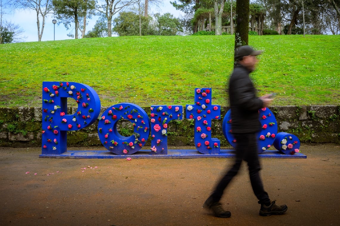 Parque de S. Roque acolhe 29ª Exposição de Camélias do Porto