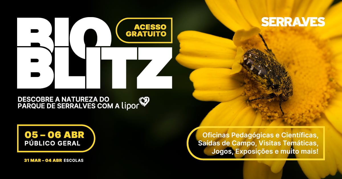 Bioblitz em Serralves 2025