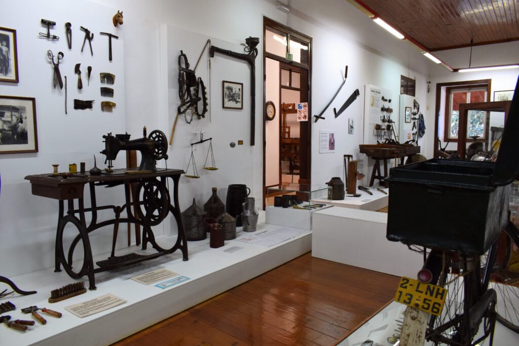 Museu da Lourinhã exposição