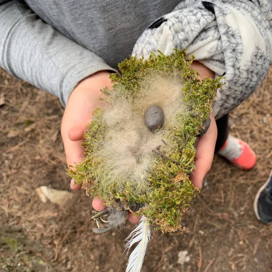 Ferias Movimento Bloom