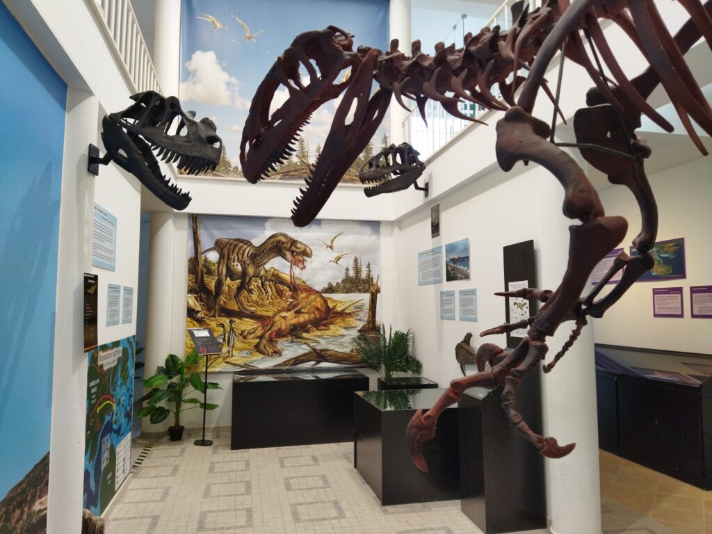 Museu de Lourinhã Pavilhão de História Natural