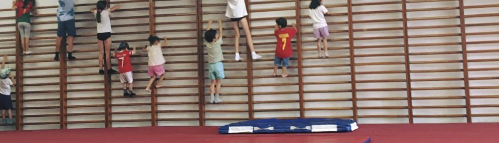 Férias Desportivas LGC 2026