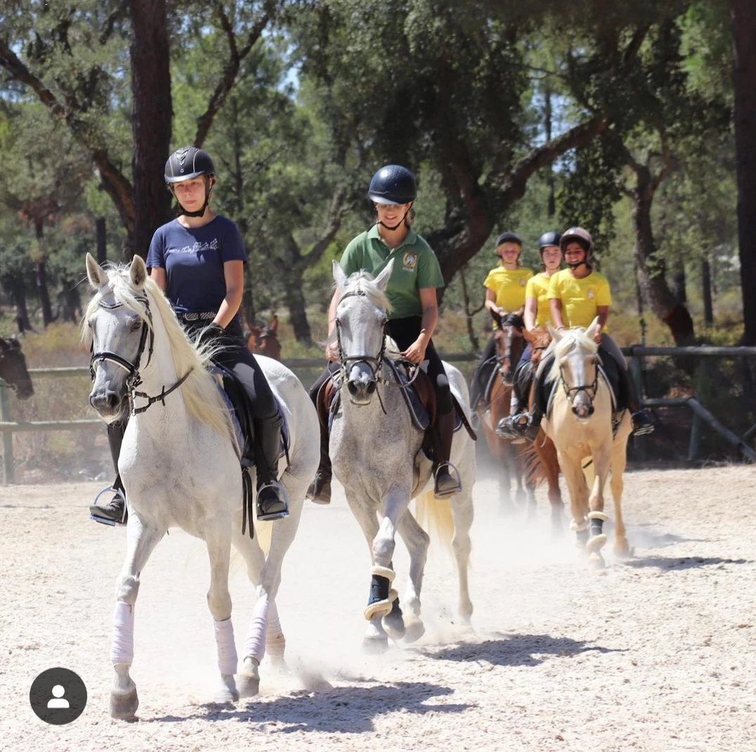 Treino de cavalos no campo de férias Alentejo