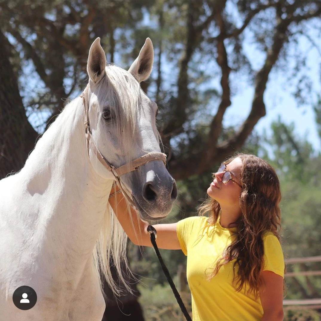 Campo de férias equestre Alentejo com cavalo e participante
