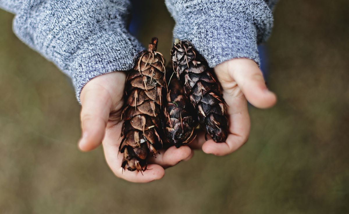 Sentidos da Natureza | Quinta das Conchas