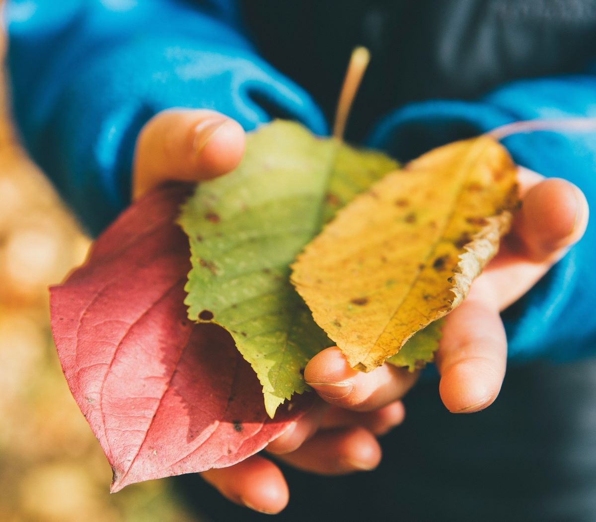 Sentidos da Natureza | Jardim Gulbenkian