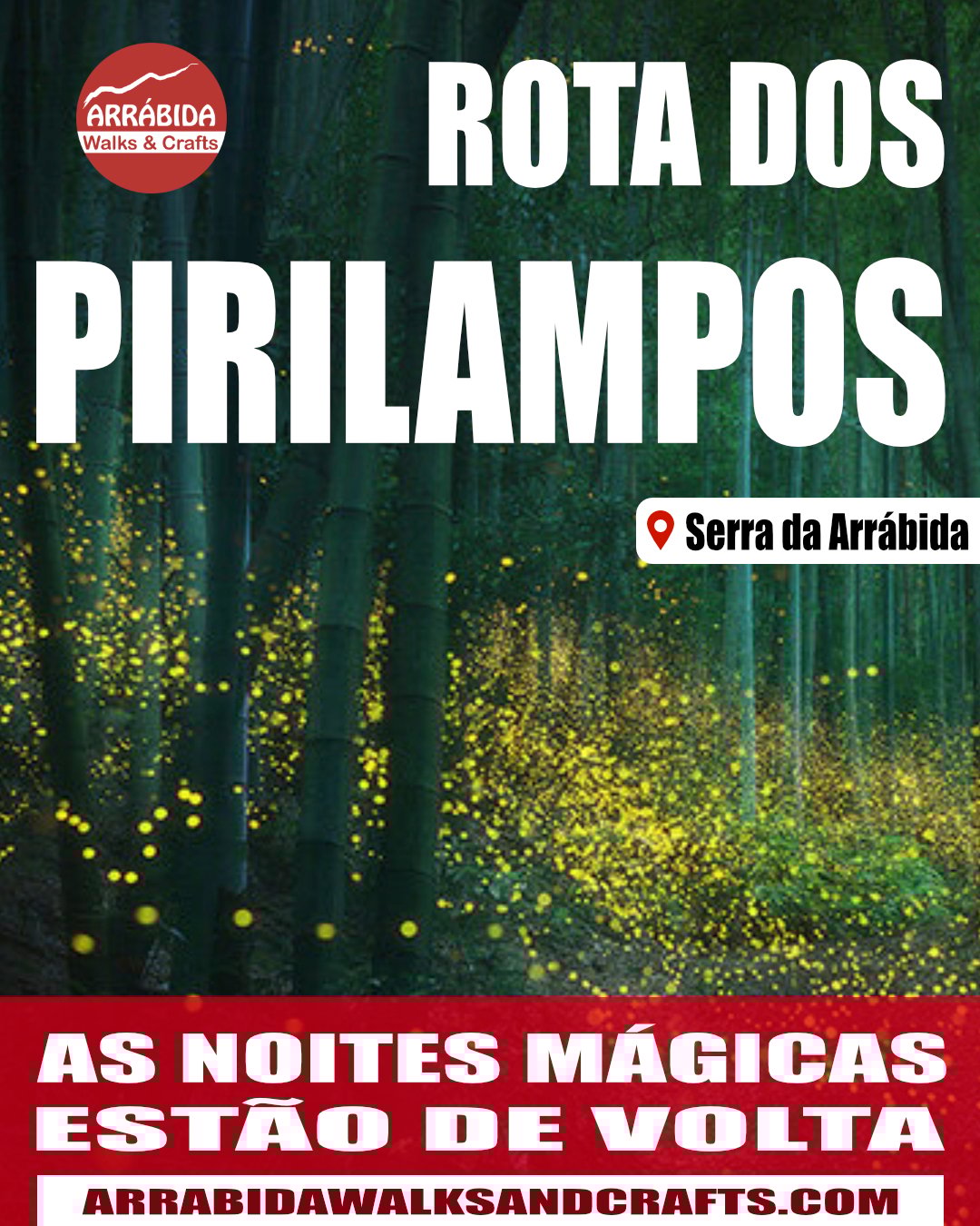pirilampos no parque natural da Arrábida