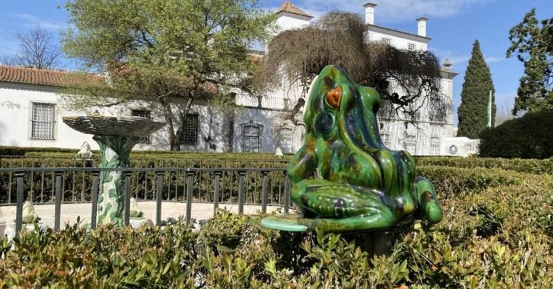 Biodiversidade na cidade | Oficina para famílias