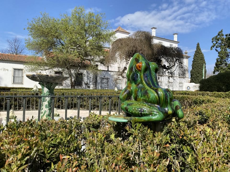 Biodiversidade na cidade | Oficina para famílias