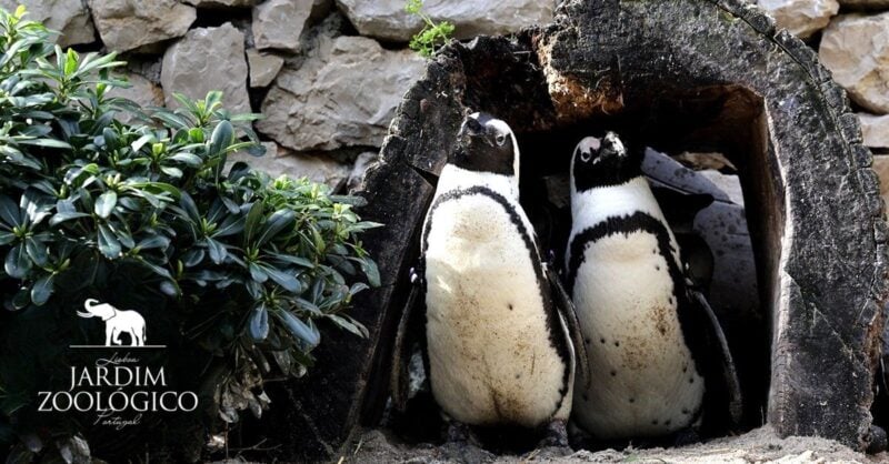 Páscoa no Jardim Zoológico