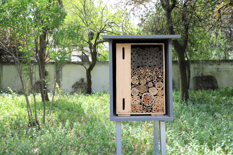 Um Hotel de insetos | Oficina para famílias