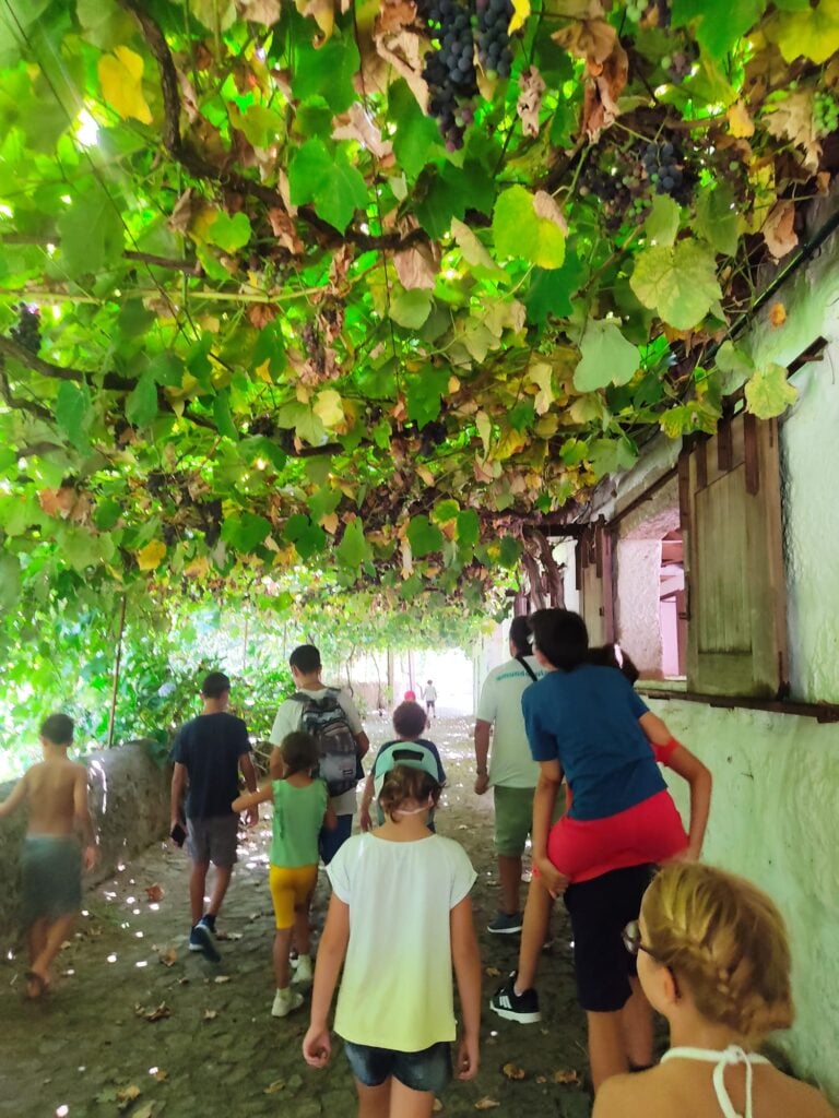 ATL Férias Maia 2026 Passeio