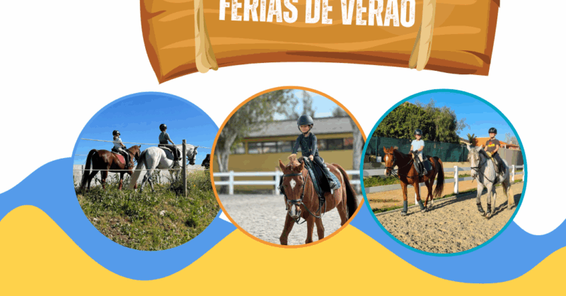 Campos de Férias de Verão - MFC Horses