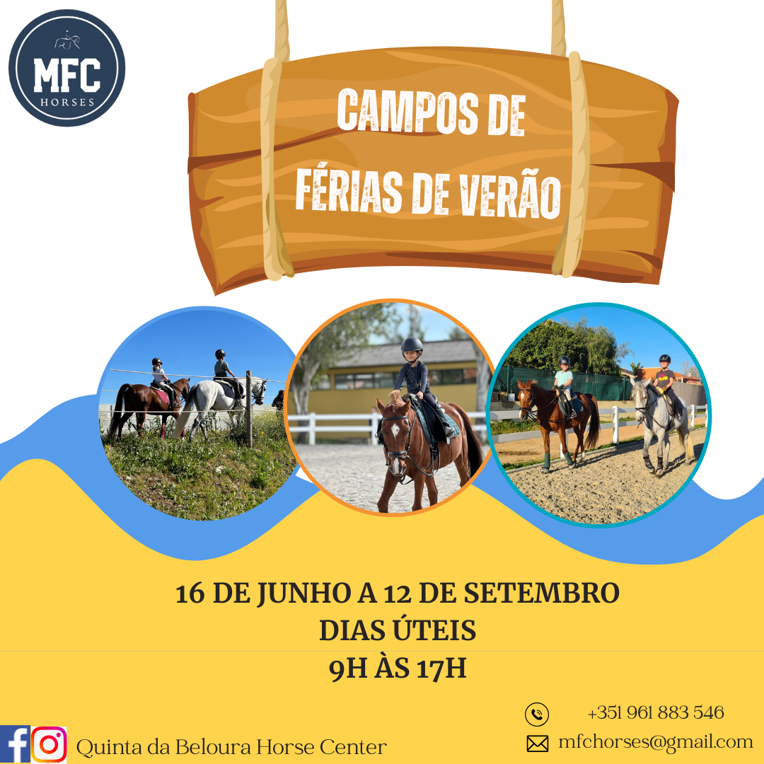 Campos de Férias de Verão - MFC Horses