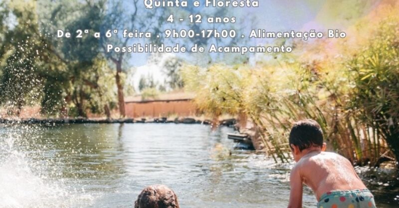 Campo de Férias em Tomar na Floresta com Arte e Natureza
