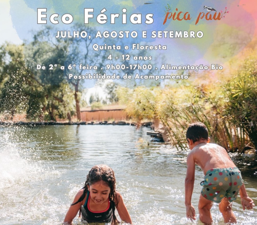 Campo de Fèrias Tomar na Floresta Verão 2025