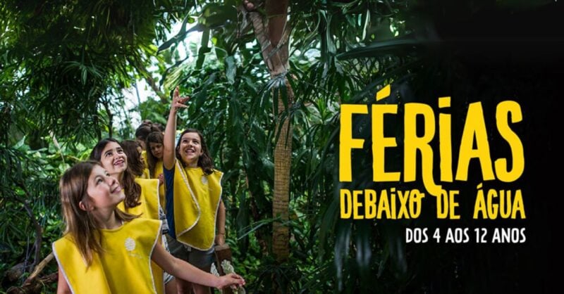 Férias Debaixo de Água no Oceanário de Lisboa