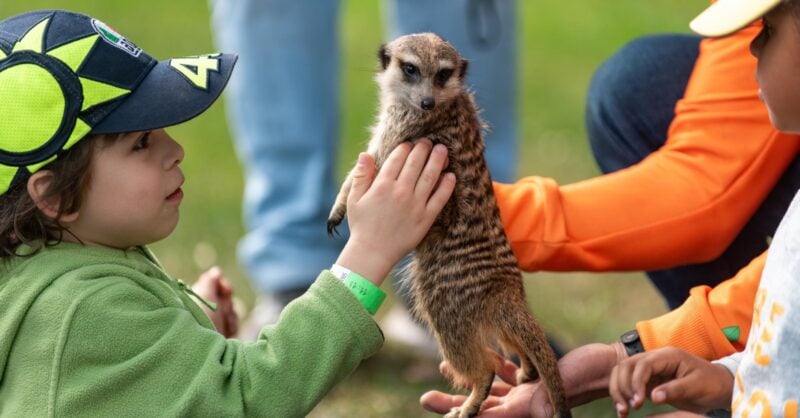 Campo de Férias em Sintra com animais fofinhos na natureza!