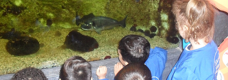 Centro Ciência Viva Vila do Conde