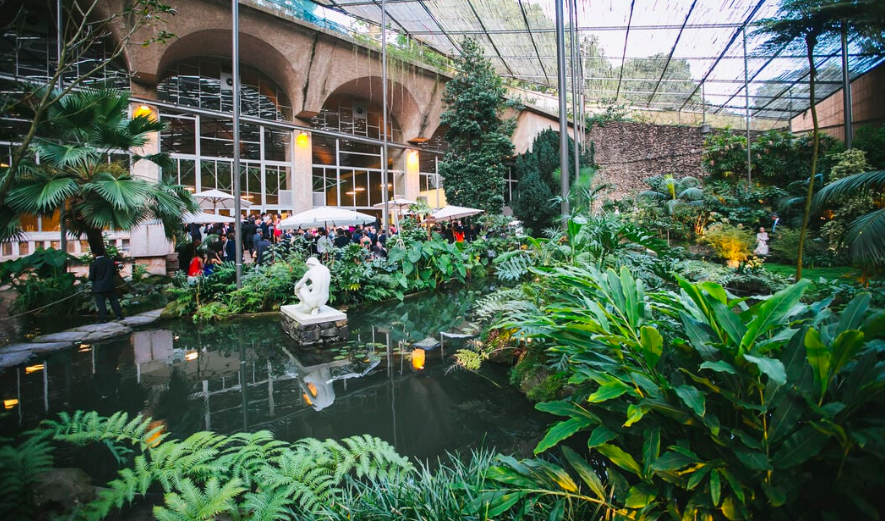 ideias gratuitas família - Estufa Fria