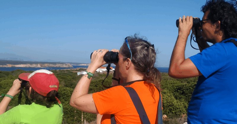 Descobrir as Aves em Família