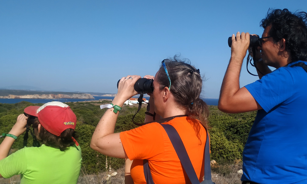 Descobrir as aves em família