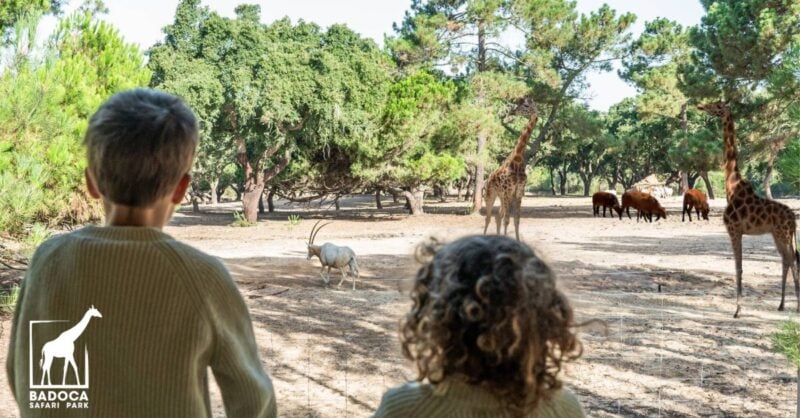 Glamping no Badoca Park: viver um safari em pleno Alentejo!