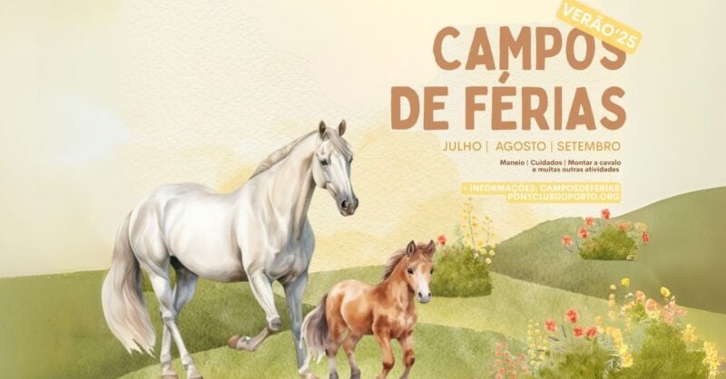 Férias no Pony Club do Porto