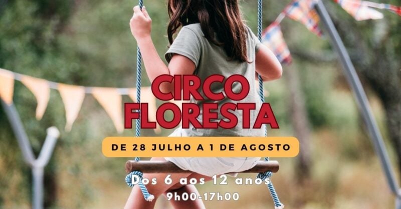 Playgroup Férias Pica Pau: Verão com Circo na Floresta em Tomar (Santarém)