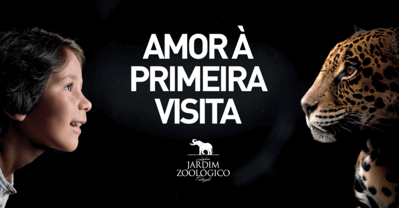 Jardim Zoológico Lisboa: Amor à Primeira Visita