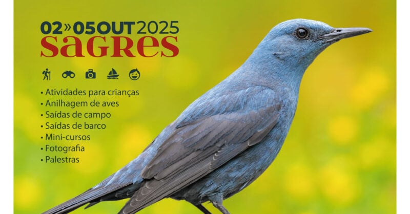 Festival de Observação de Aves - Sagres