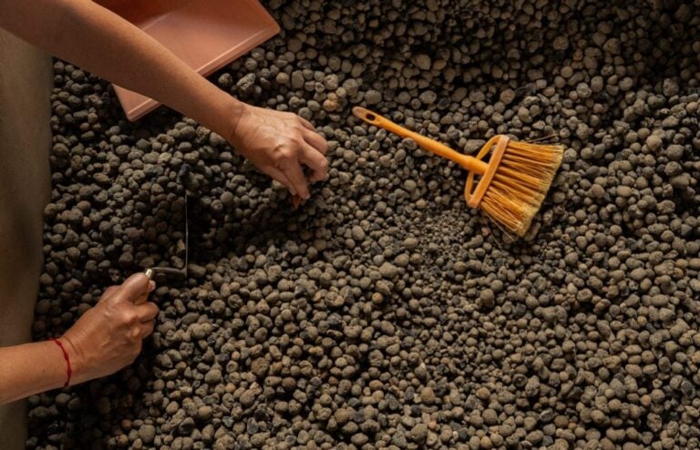 Oficina para famílias: Arqueologia das coisas