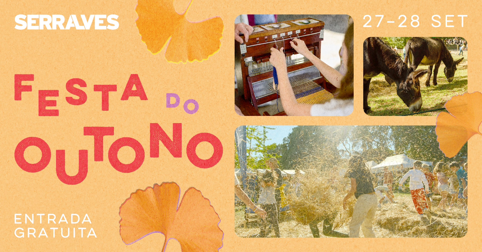 Festa do Outono Serralves 2025