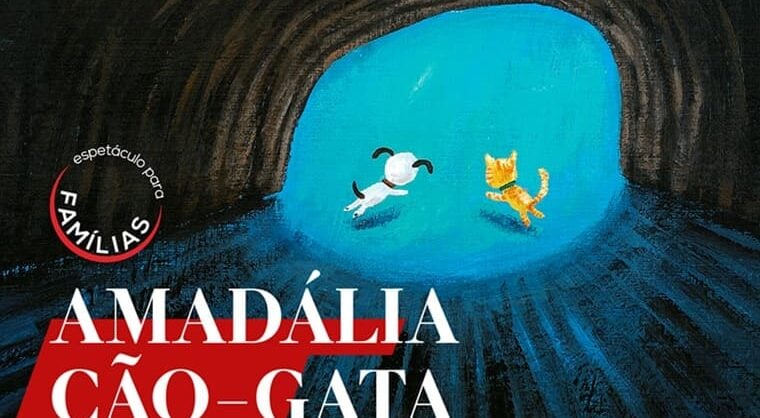 AMADÁLIA CÃO-GATA