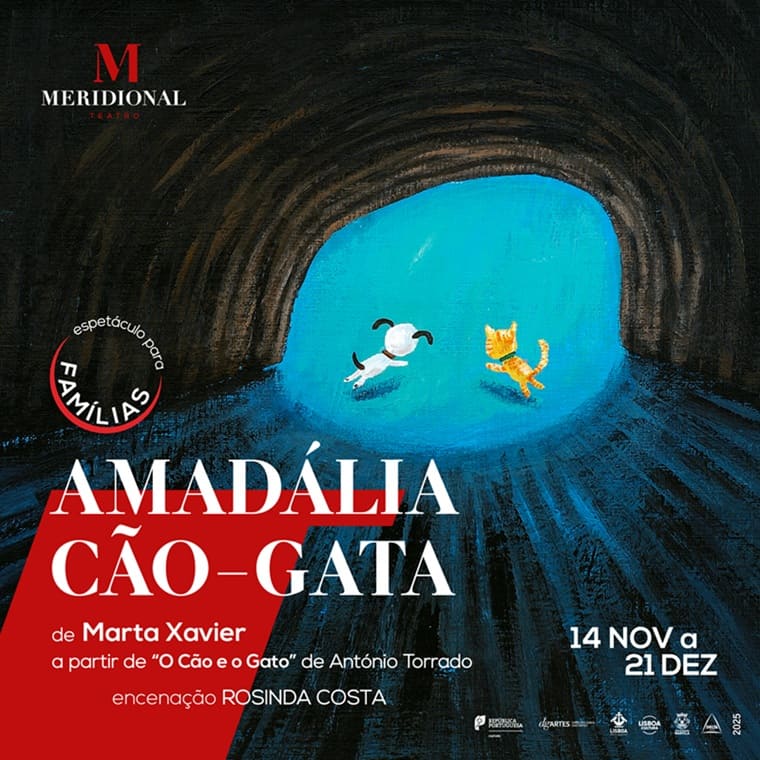 AMADÁLIA CÃO-GATA