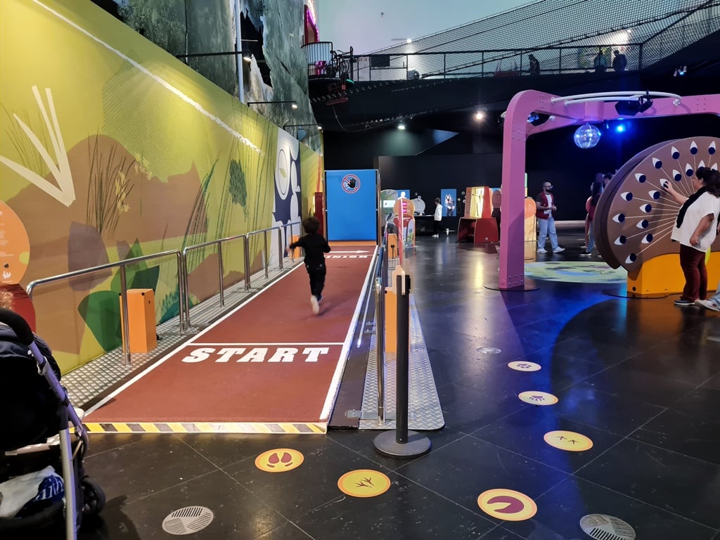 Pavilhao do Conhecimento Exposição Super Bichos - Falcao peregrino