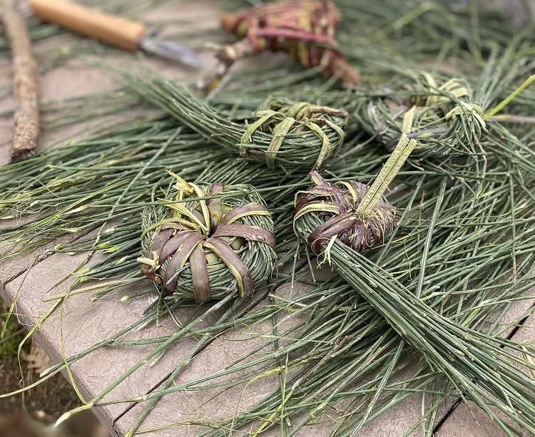 Oficina de estamparia botânica – Eu levo a Palestina comigo