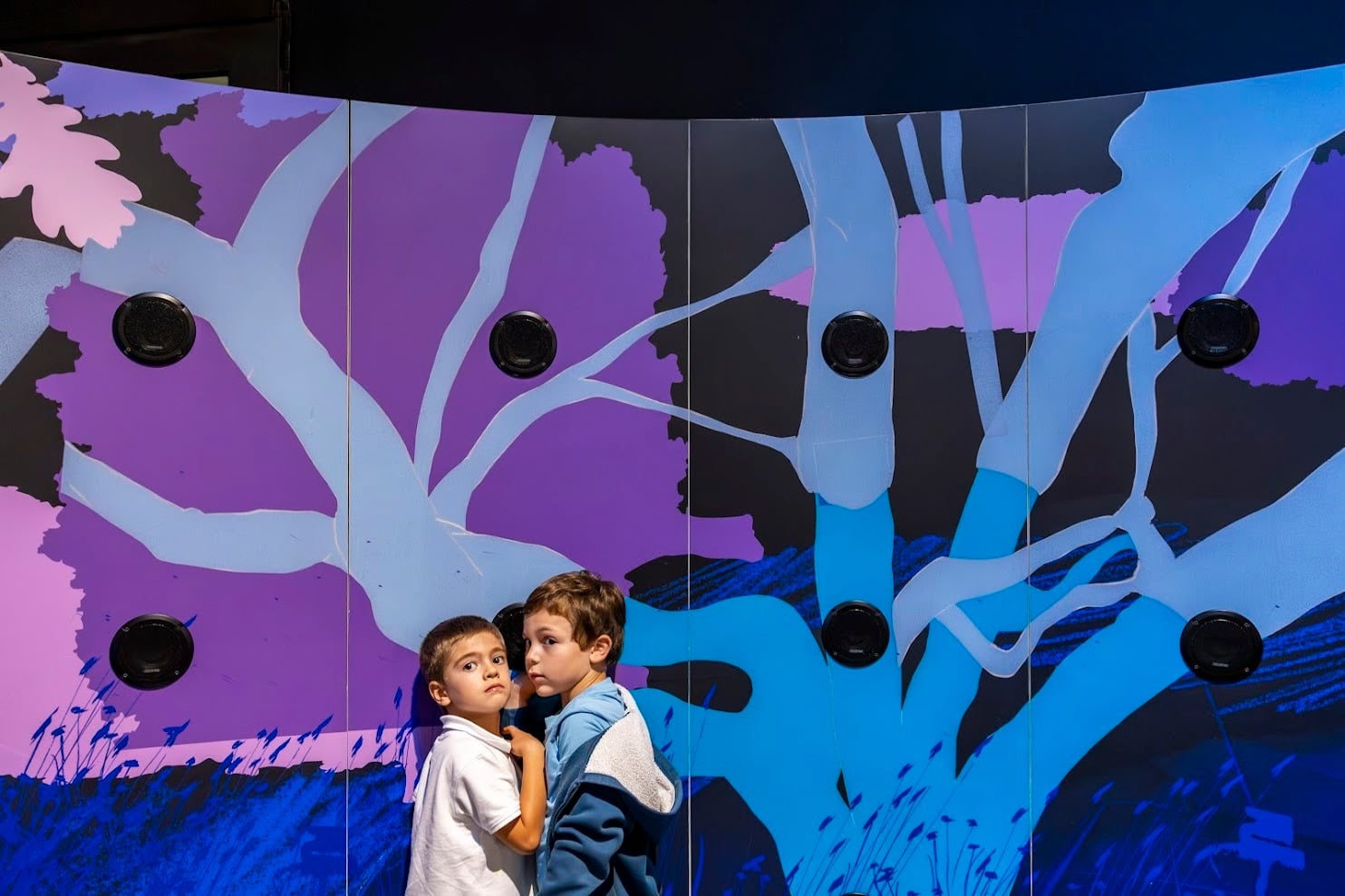 Pavilhao do Conhecimento Exposição Super Bichos - coruja