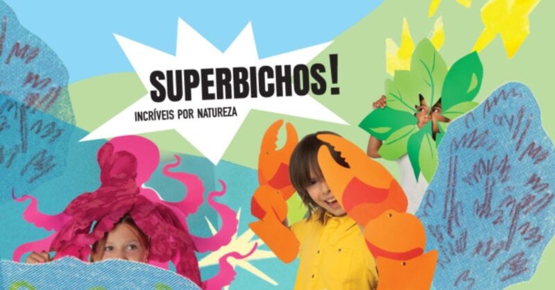 Super bichos Incríveis por natureza - Exposição Pavilhão do Conhecimento