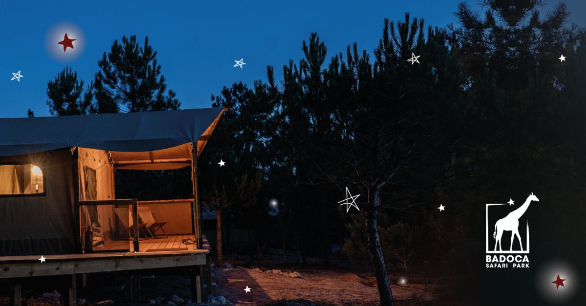 Natal Badoca Safari Park