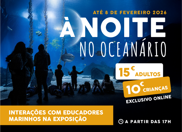 A noite no Oceanário
