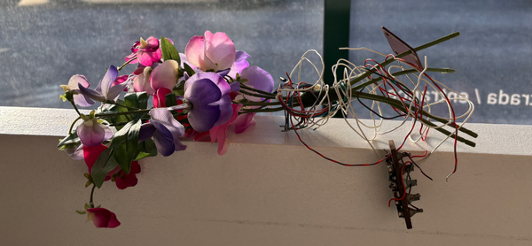 fevereiro_cartista_artigo