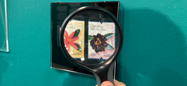 fevereiro_cfamilia_artigo