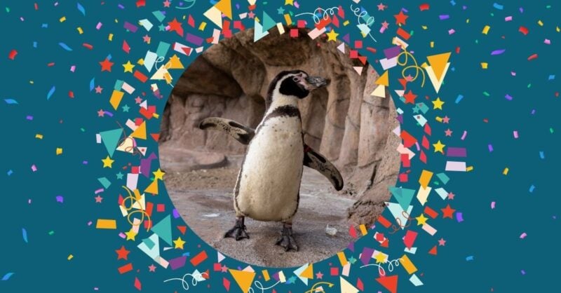 Carnaval no SEA LIFE Porto