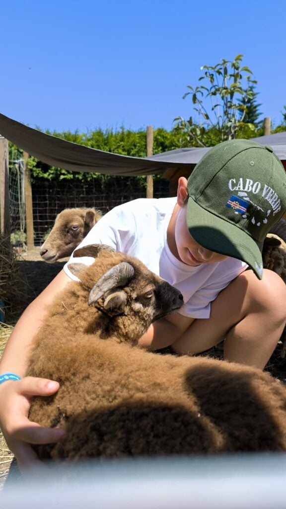 Campo de Férias na Quinta em Vila do Conde - animais