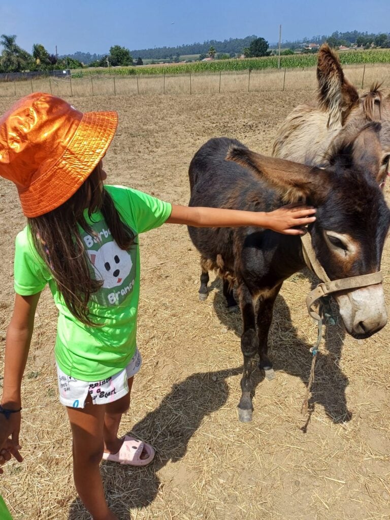 Campo de Férias na Quinta em Vila do Conde - animais