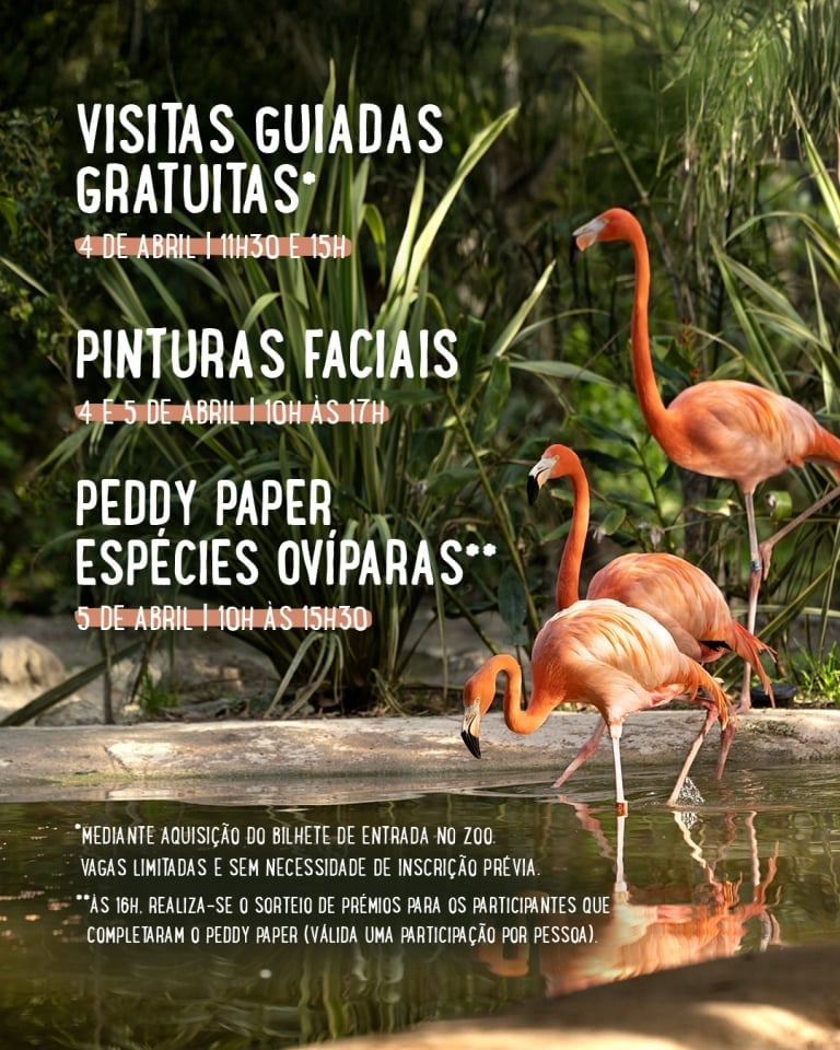 Páscoa no Jardim Zoológico - programa