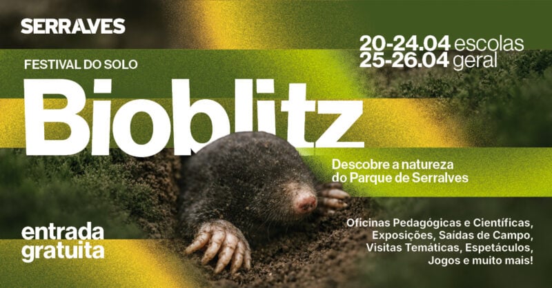 Bioblitz em Serralves 2026: descobrir a vida que existe debaixo dos nossos pés!
