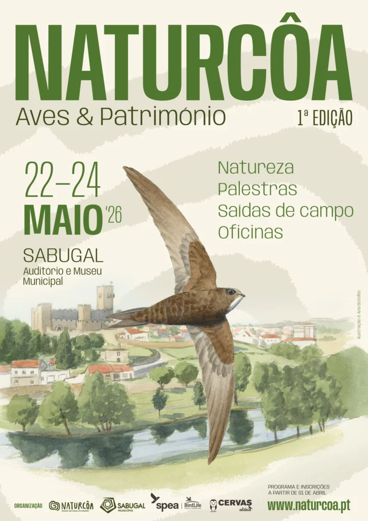 Cartaz+Festival+26